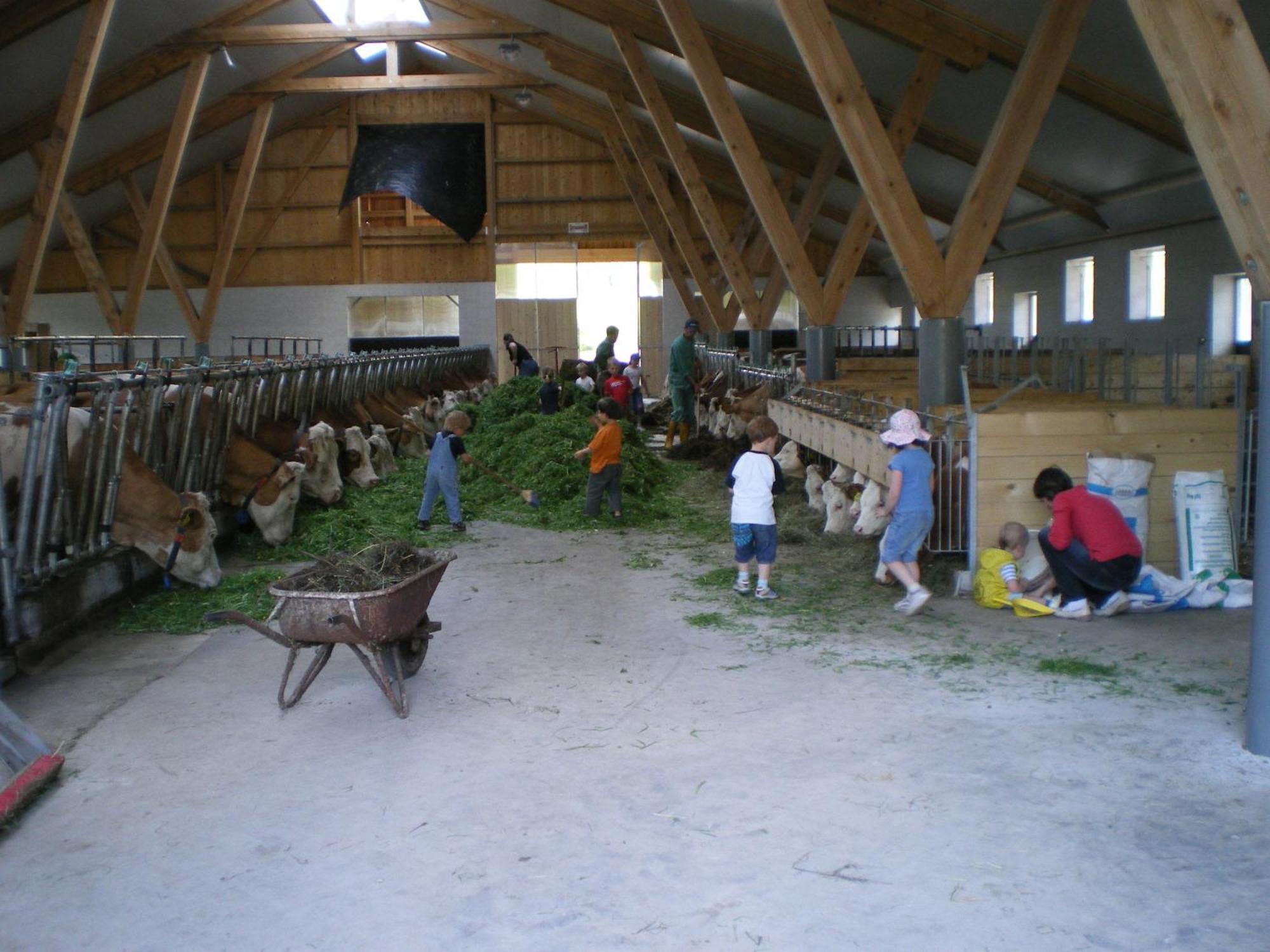 Вилла Russbachbauer Sankt Wolfgang im Salzkammergut Экстерьер фото