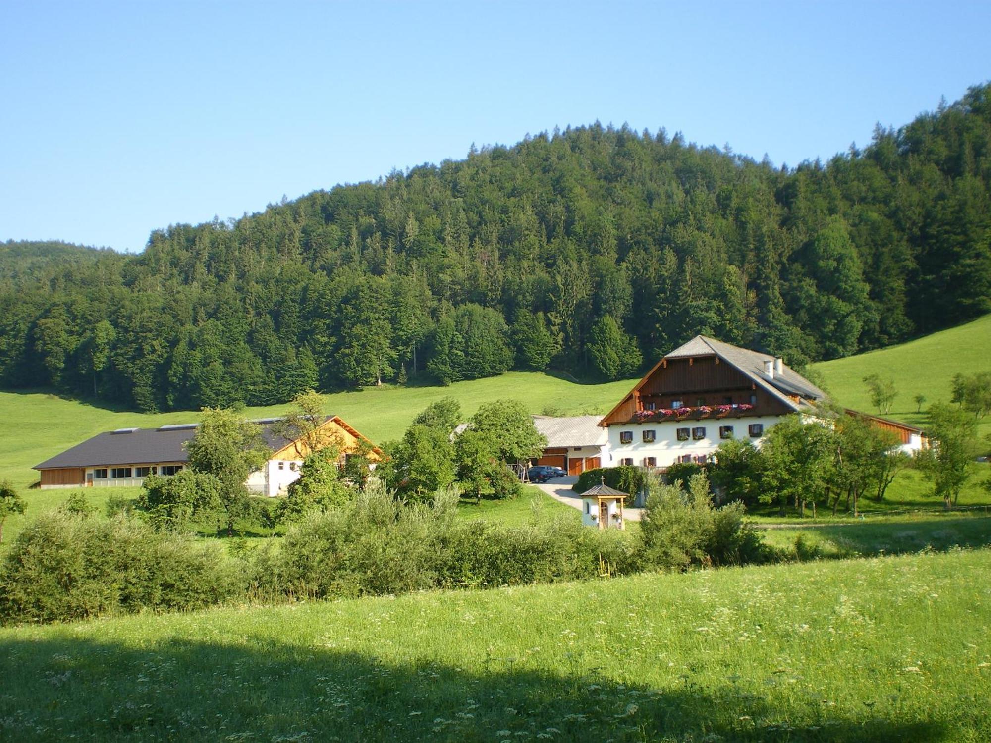 Вилла Russbachbauer Sankt Wolfgang im Salzkammergut Экстерьер фото